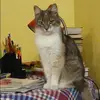 Отзыв от Анжела Зорина
